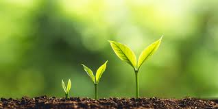 Sales growthis a metric that measures the ability of your sales team to increase revenue over a fixed period of time. How To Calculate Your Company S Sales Growth Rate Textexpander