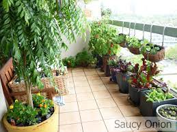 This will help you make informed decisions when you choose the veggies to grow in your balcony vegetable garden. Pin On Growing Food