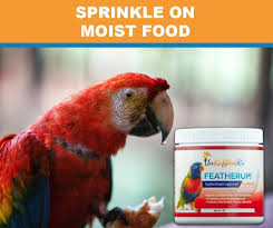 Check spelling or type a new query. Buy Featherup Bird Formula For Healthy Feathers Nutrient Rich Bird Vitamins For Vibrant Feather Growth Supplements With Biotin For Parrot Cockatiel More Water Soluble For Bird Food 90 Gm