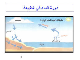 الماء سر الحياة