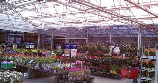 Lowe S Garden Center