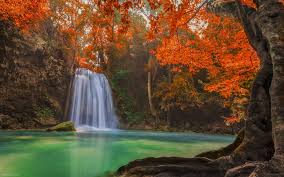 منظره آبشار در جنگل پاییزی waterfall in autumn trees