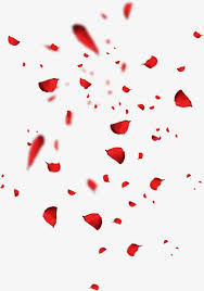 Red Petals Png And Clipart Rose Petals Falling Red Petals Flower Png Images