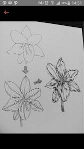 We did not find results for: Sketsa Bunga Yang Indah Brainly Co Id