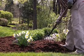 Maybe you would like to learn more about one of these? Spring Cleanup Service Spring Yard Cleanup Crystal Lake Elite Lawn Care