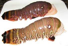 How to tell when brats are done? Frozen Lobster Tails Cooking Lobster Tails Whats Cooking America