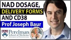 NAD Dosage, 3 Degradation Pathways & Delivery Formats