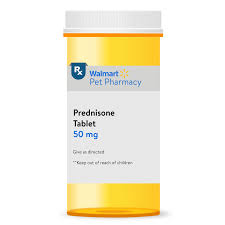 Image result for Prednisone