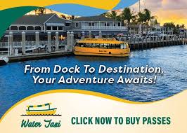 Marjory Stoneman Douglas Students Named National Merit Scholarship Winners 