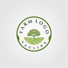 Nopales and cactus pears with spines removed. 21 Frame Logo Ideas Frame Logo Vintage Logo Retro Logos