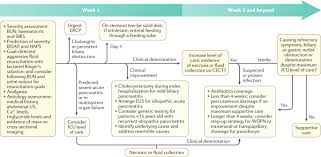 We did not find results for: New Insights Into Acute Pancreatitis Nature Reviews Gastroenterology Hepatology
