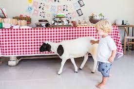 Check spelling or type a new query. Kara S Party Ideas Petting Zoo Birthday Party Kara S Party Ideas