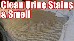 If a specific area smells more strongly, you can use a slightly thicker layer of baking soda. How To Get Pee Stains Smell Out Of Mattress Easy Steps Youtube