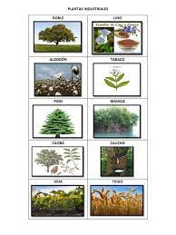 Industrial plants pl (often used). Plantas Industriales 2