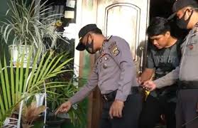 Gratis untuk komersial tidak perlu kredit bebas hak cipta. Terekam Cctv 2 Remaja Pencuri Bunga Hias Di Baubau Ditangkap Polisi Bagian 1