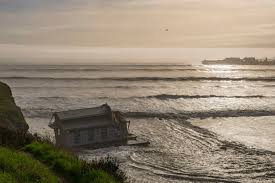 Image result for California Sand 2024 Santa Cruz