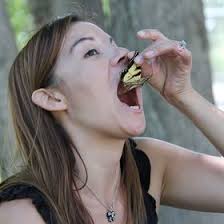 Sylvia Bentley (sylviabentley)