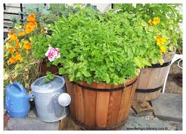 Place all of the ingredients except for the parmesan into a large pot. Herb Planter Where To Start With Pots Boxes Wagon Wheel