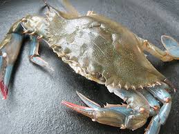 what is soft shell crab