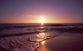 Support us by sharing the content, upvoting wallpapers on the page or sending your own background pictures. Free Download Sunset Beaches Backgrounds Pixelstalk Net
