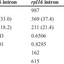 Image result for Anisosepalum alboviolaceum