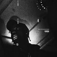 Birds In The Trap Sing Mcknight Meaning 16 Elegant Birds In The Trap Sing Mcknight Album Cover