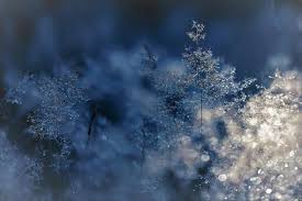 14 Ideen Fur Einen Zauberhaften Garten Im Winter Desktop Hintergrund Hintergrunde Fur Laptop Hintergrund