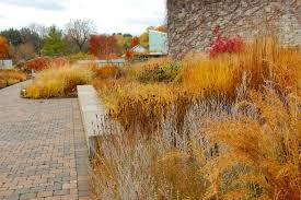 Piet Oudolf Entry Garden Walk Botanischer Garten Von Toronto November Botanischer Entry Garden Ga Urban Garden Design Landscape Design Toronto Gardens