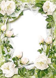 Green Transparent Png Photo Frame With White Roses Gallery Yopriceville High Quality Images And Transparent Png Free Cl White Roses Rose Frame Photo Frame