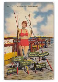 Vintage postcards, in particular, offer a unique glimpse of the past. Miami Florida Yep It S Fishing Time Vintage Antique Postcards Send Real Postcards Online