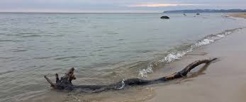 For the german protestant theologian ernst sellin see h. Strandwanderung In Sellin Rugeninsider