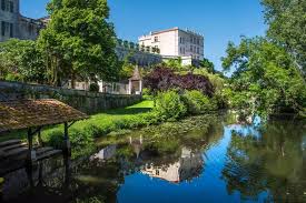 Dominik armenta - Best adult videos and photos