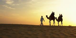 Dubai is usually seen as an urban space; Where Can I Ride A Camel In Dubai Dubai Travel Planner