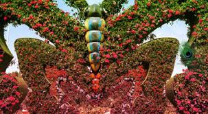 Maybe you would like to learn more about one of these? Wowescape Dream Miracle Garden Escape Fastrack Games