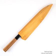 Image result for Gyrodoma hispida