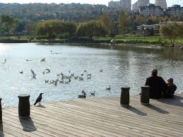 Maybe you would like to learn more about one of these? Bahcesehir Golet Martilara Ekmek Atan Cocuk Mapio Net