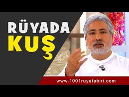 Ruyada Kus Gormek Ne Demek Diyanet Ruya Tabirleri 1001ruyatabiri Com