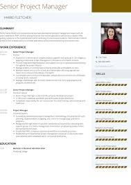 Project manager positions are naturally achievement oriented. Senior Project Manager Resume Samples And Templates Visualcv