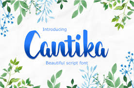 Looking for free graffiti fonts? Cantika Font 1001 Fonts