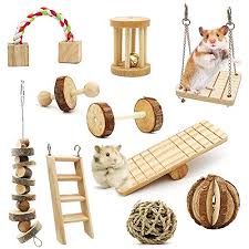 Fun diy mouse & rat toys! Best Rat Toys 2021 Review What Kind Of Toys Should My Rat Have Timeline Pets
