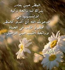 اللهم اجعلني كالمطر هطول طي ب في الحياة ورائحة أطيب حين الرحيل آمين Plants Flowers Dandelion
