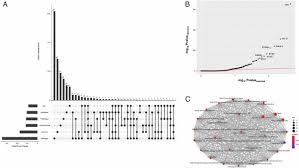 Perhaps the first hotspot analysis was that conducted by myers (1988, 1990). Leveraging Protein Dynamics To Identify Cancer Mutational Hotspots Using 3d Structures Pnas