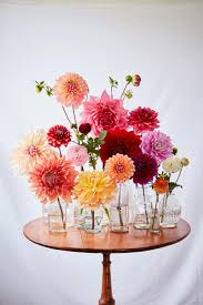 • change your water every day. Our Most Magnificent Flower Arranging Secrets Martha Stewart