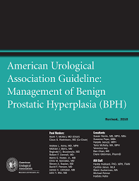 Ala'nın yakın arkadaşı olan onur vasıtasıyla eren beyle tanıştıklarını o dönem yüklediği youtube videousundan öğrenmiştik. American Urological Association Guideline Management Of Benign