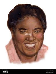 lena Cut Out Stock Images & Pictures