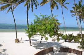 Indigo Beach Zanzibar In Bwejuu Tanzania Lets Book Hotel