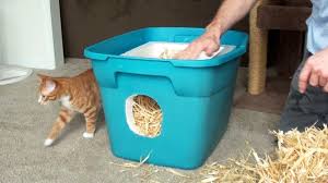 Free delivery and returns on ebay plus items for plus members. Let S Talk About Ways To Keep Outdoor And Feral Cats Safe In The Winter Cattime