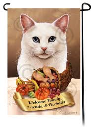 White Cat Blue Eye Thanksgiving