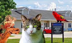 Tuesday afternoons we will be doing bird wing and nail trims, by appointment only. New South Clinic Earns Accreditation Veterinary Medicine At Illinois
