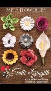 Scarica questo vettore gratis su fiore margherita in colore bianco e scopri oltre 11 milioni di risorse grafiche professionali su freepik Trilli E Gingilli Realizza Fiori Di Carta Di Ogni Tipo Margherite Girasoli Calle Rose Per Creare Dei Bouquet Alternativi Fiori Di Carta Margherite Fiori